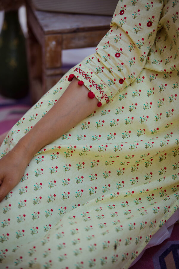 Rossy Bageecha Kurti Buy Urmul Desert Crafts