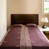 Kaashi Extra Weft Double Bedsheet Buy Urmul Desert Crafts